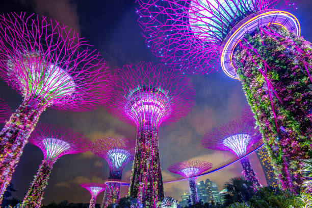 Explore Singapore – The Ultimate Travel Guide 2026